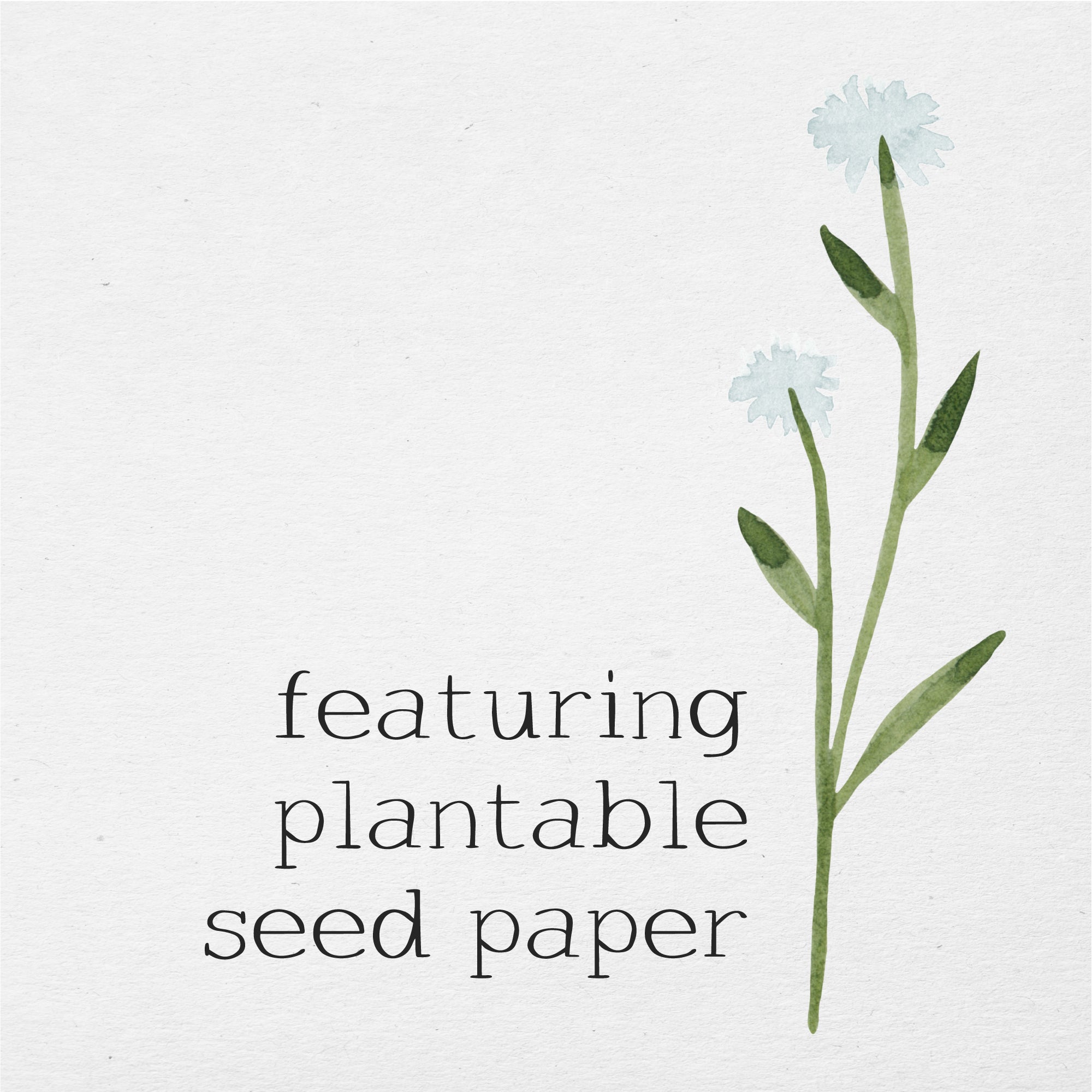 We're Better Together - Plantable Card