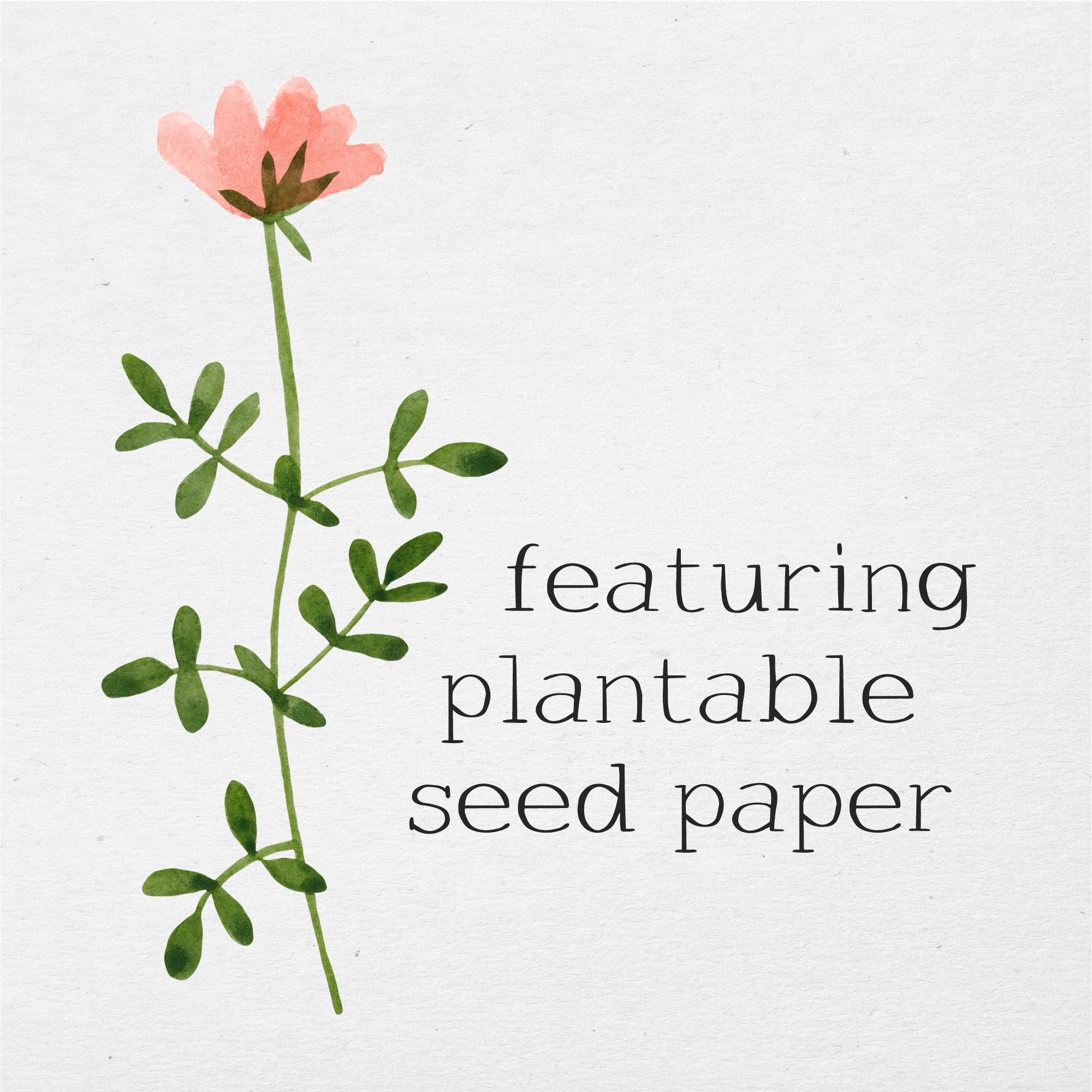 You're Going to Be the Best Mama - Plantable Card