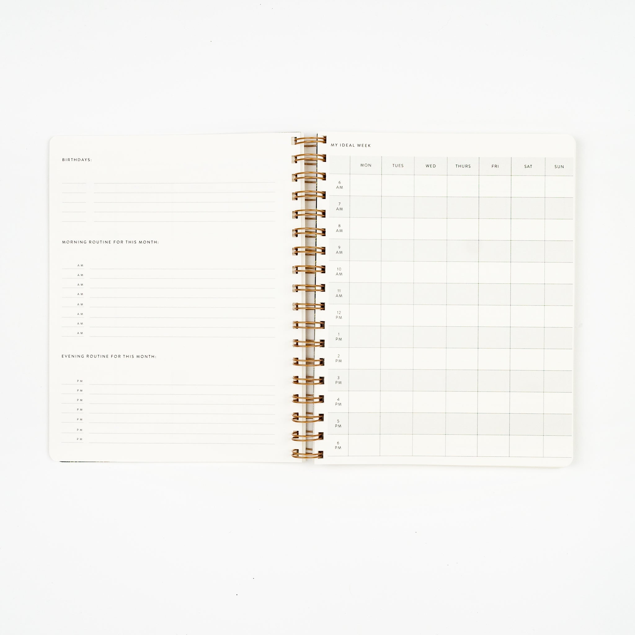 Gold Bumblebee Undated Planner