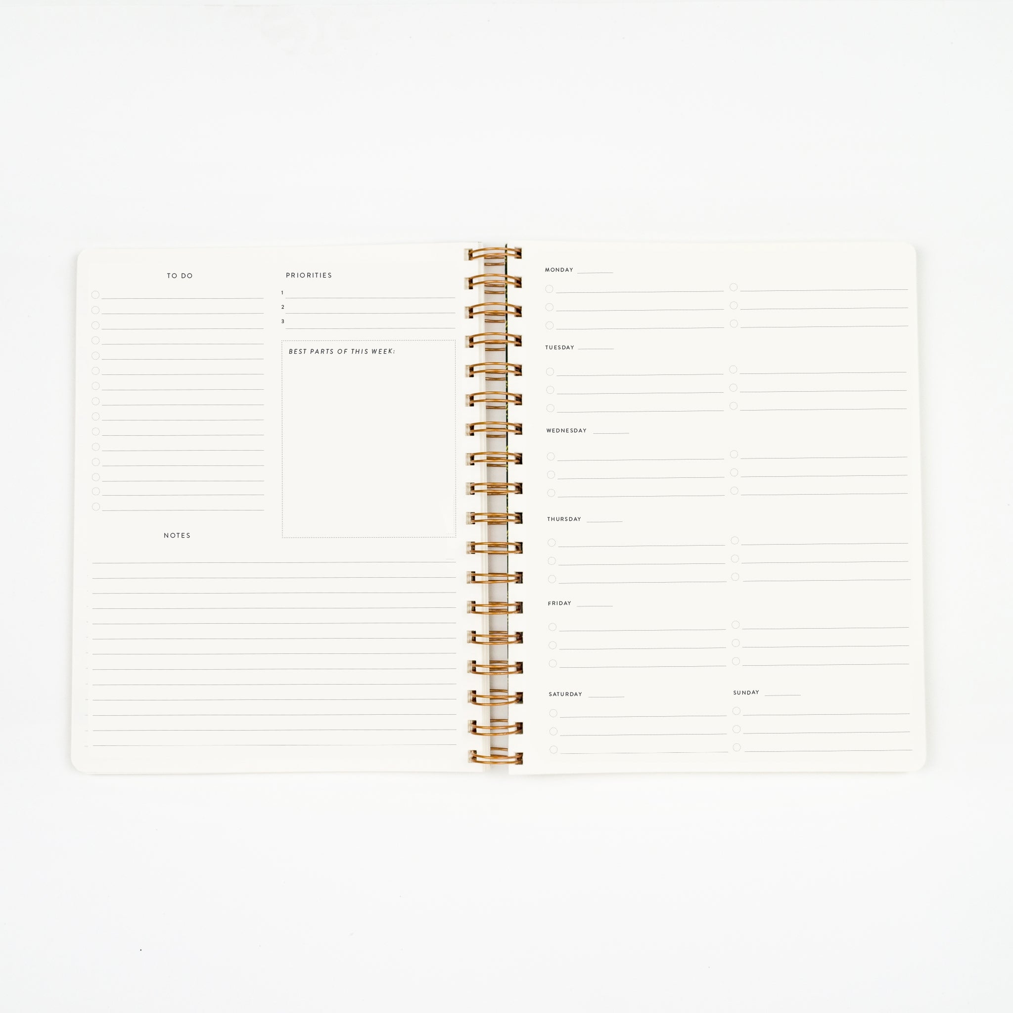 Gold Bumblebee Undated Planner