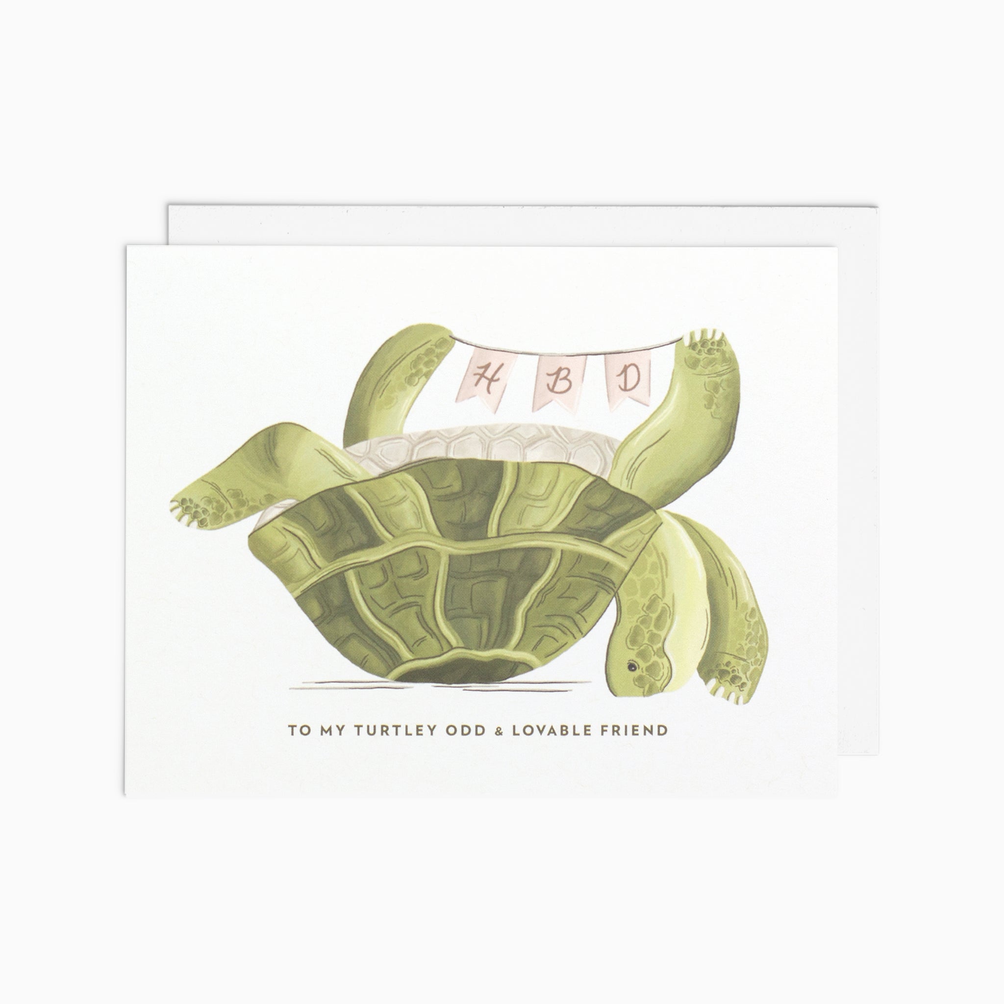 Happy Birthday Turtle Card