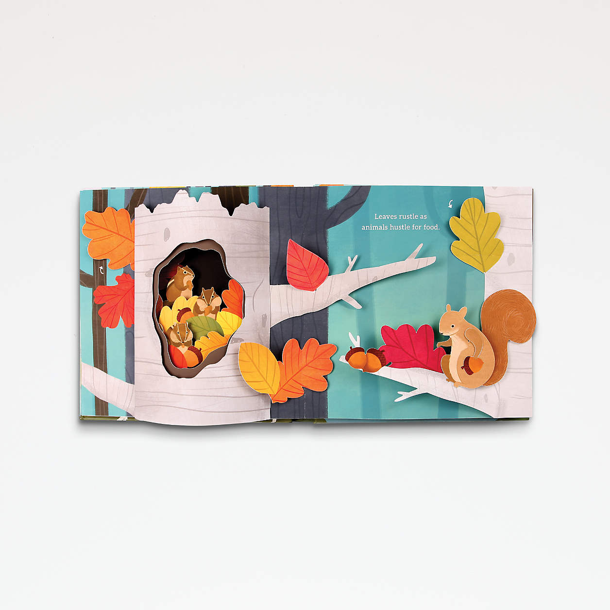 Leaves Autumn Pop-Up Book