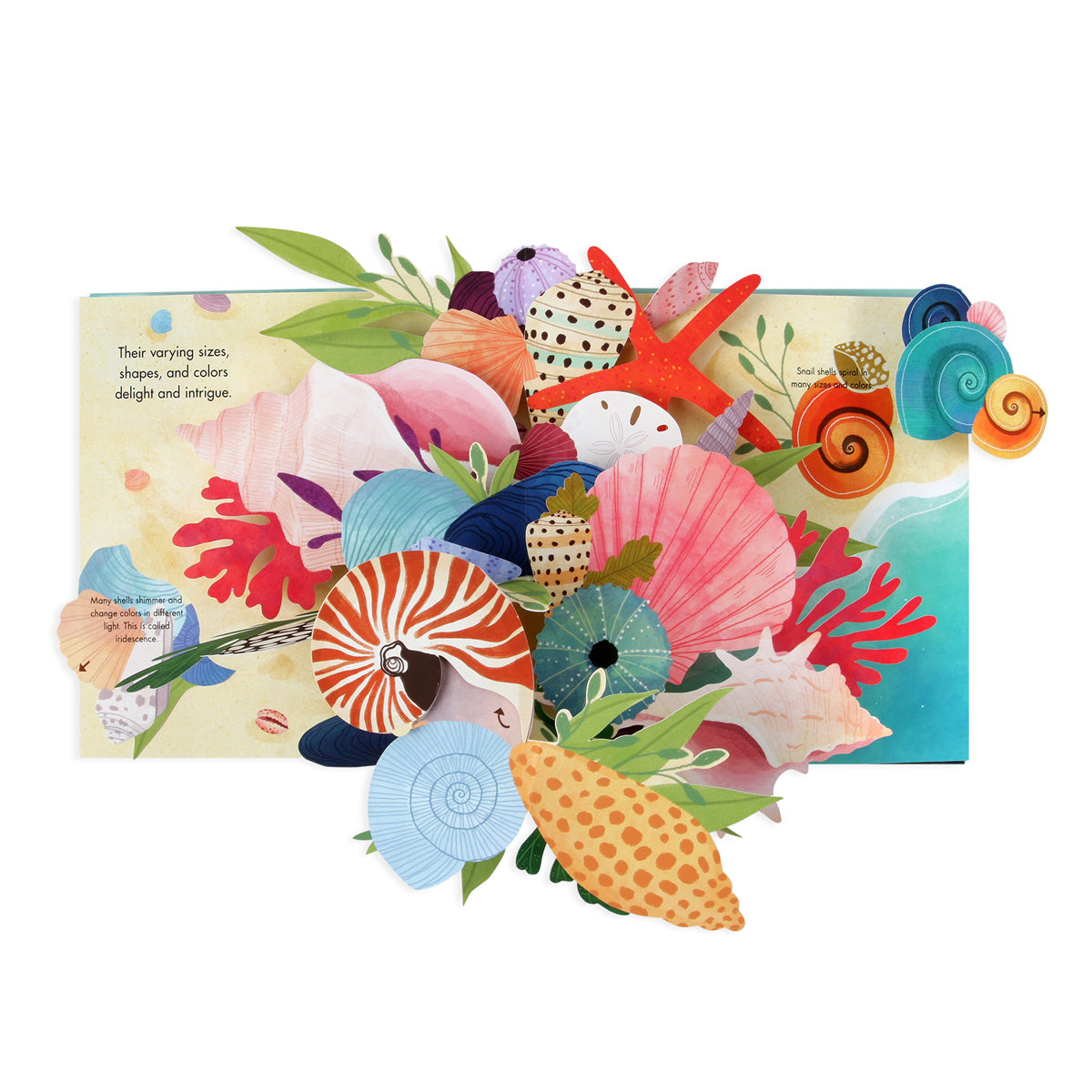 Shells Nautical Pop-Up Book