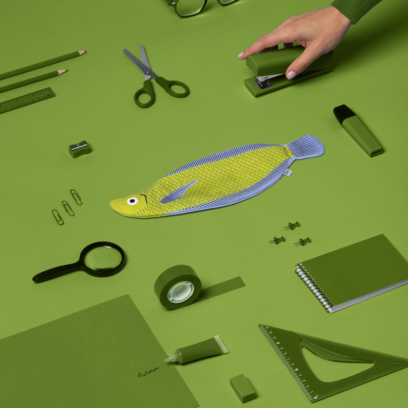 Arawana Fish Case
