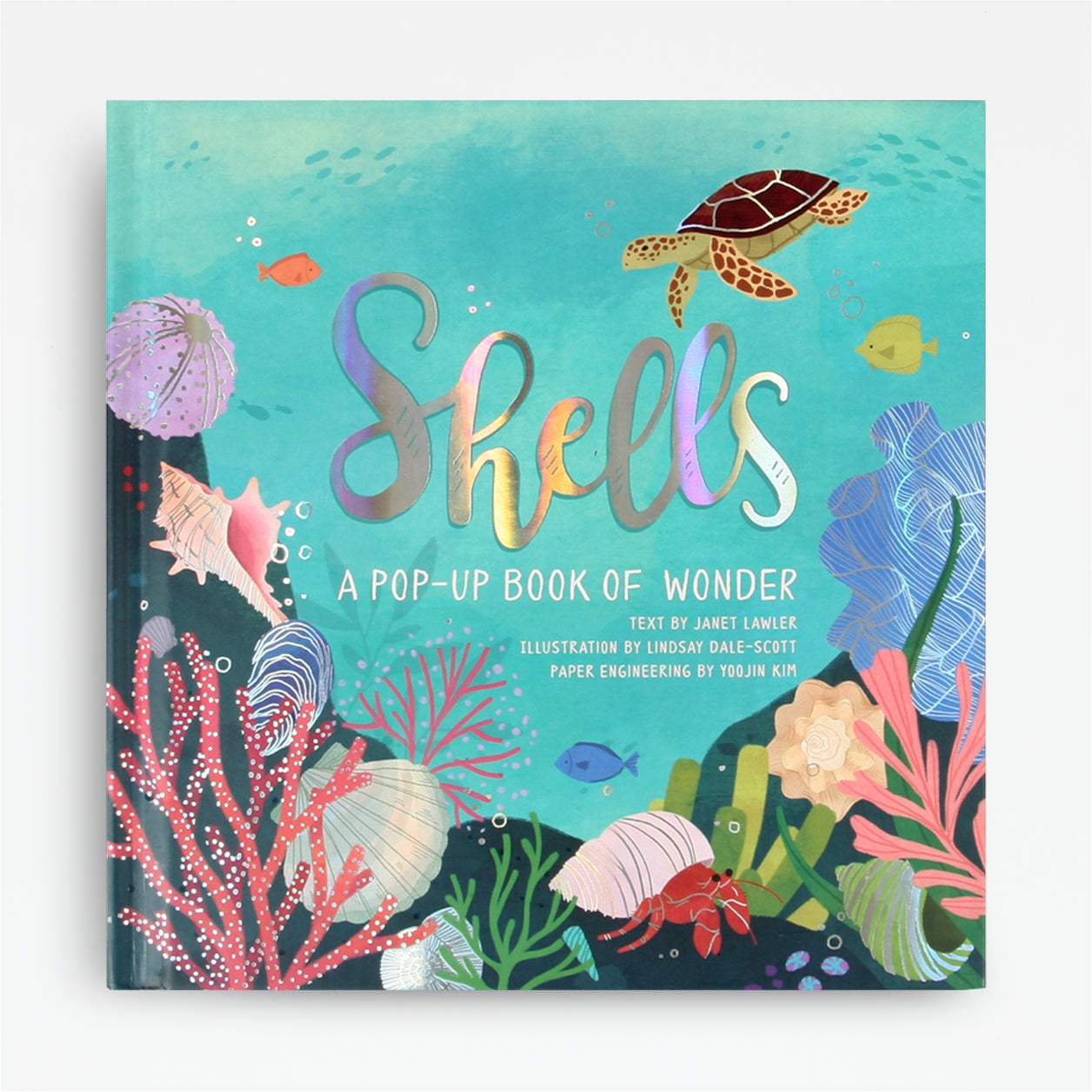 Shells Nautical Pop-Up Book