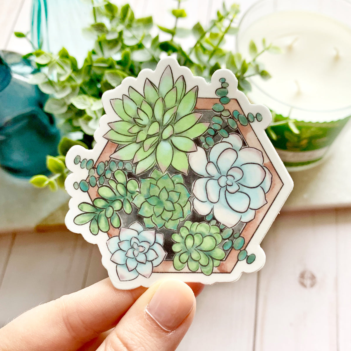 watercolor succulents Watercolor Succulent Planter Sticker